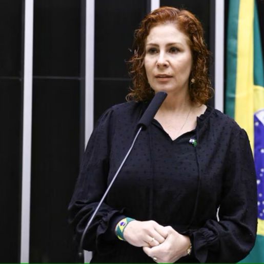 Em decisão unânime, STF condena Zambelli e hacker por invasão ao sistema do CNJ