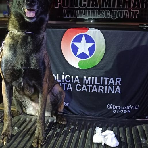 Polícia Militar prende suspeito de tráfico de drogas em Maravilha