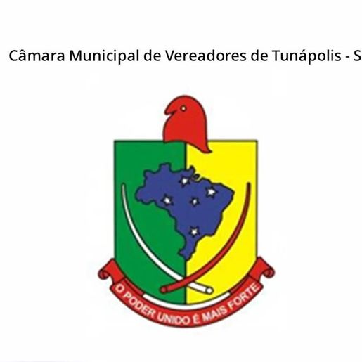 Confira os vereadores eleitos de Tunápolis