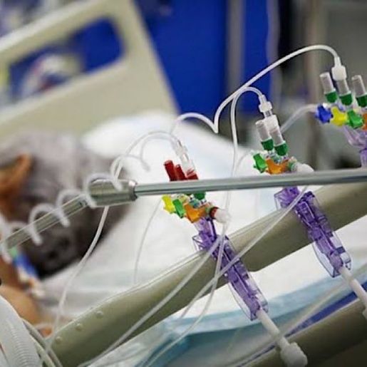 Primeira carga de 50 respiradores artificiais para SC chega ao Brasil