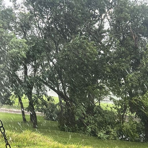 Chuva forte e ventania derrubam árvore e deixam moradores sem luz em SMO