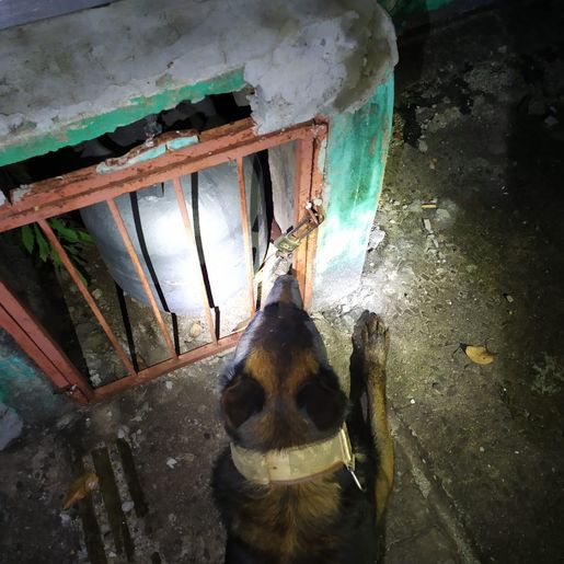 Homem é preso após ameaçar outro com arma de fogo em Descanso