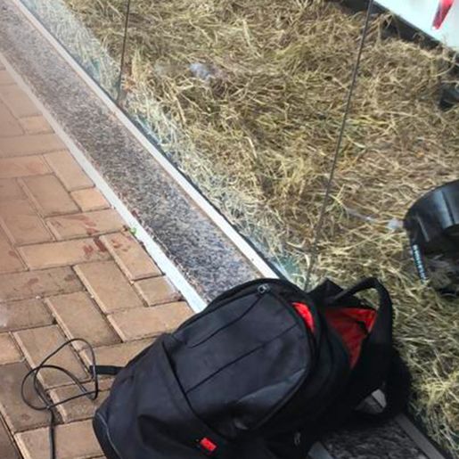 Homem sofre ferimentos graves ao ser atingido por garrafada na cabeça em SMO