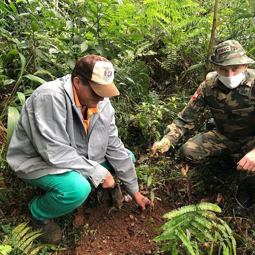 Polícia Militar Ambiental promove diversas ações alusivas aos 185 anos da PM e aos 30 anos da PMA
