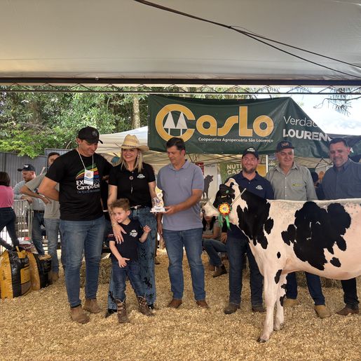 Julgamento do gado leiteiro e rodada de negócios movimentam o sábado na Expo Campo Erê