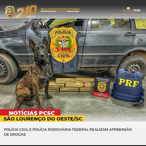 Cerca de 14 Kg de maconha são apreendidos em São Lourenço do Oeste
