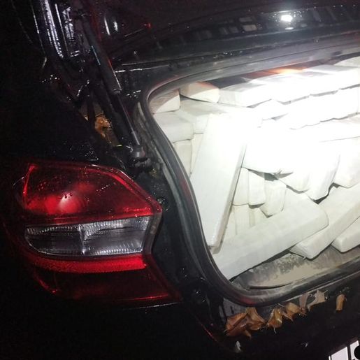 PM apreende 455 kg de maconha e prende pai e filho em Flor do Sertão