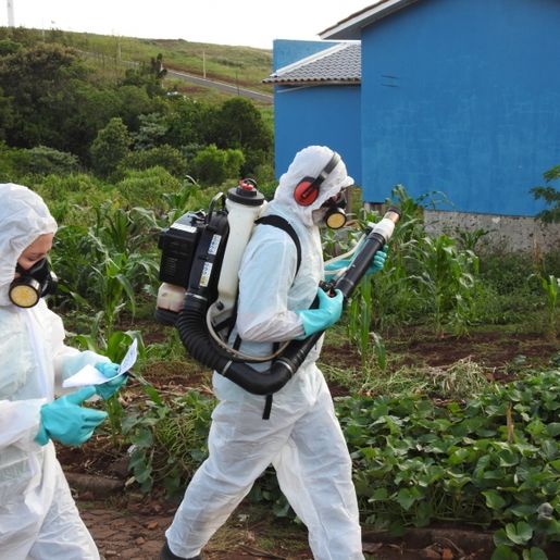São Miguel do Oeste volta a registrar caso de dengue após quatro meses