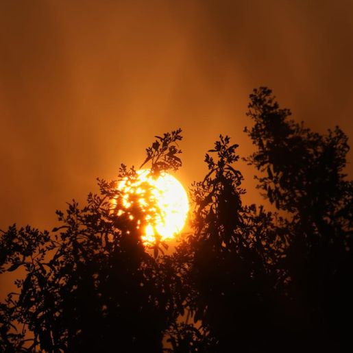 Forte onda de calor e de baixa umidade avança em SC no início da semana