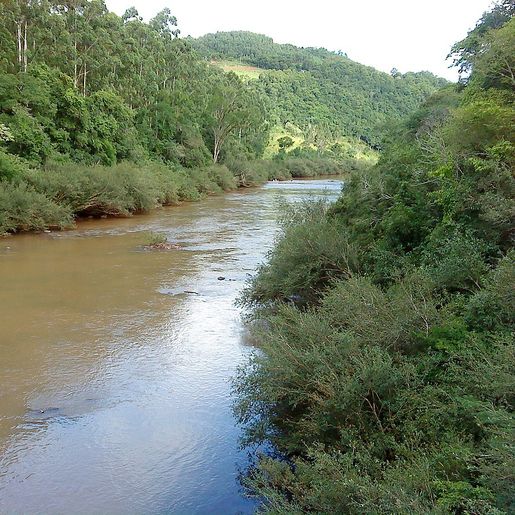 Comitês de Bacias Hidrográficas iniciam atividades voltadas para este ano
