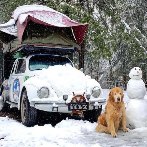 Acidente nos EUA mata influenciador e golden retriever de SC que viajavam em Fusca