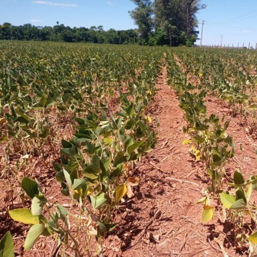 Aprovada medida que libera R$ 1,2 bilhão para atingidos pela estiagem