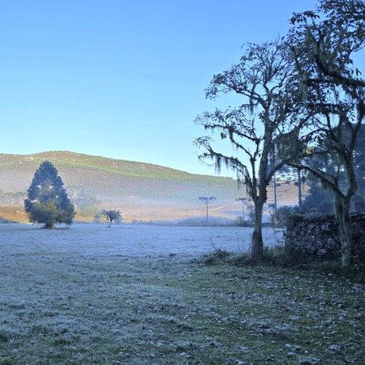 Massa de origem polar vai “congelar” SC e temperaturas devem ficar abaixo de 0ºC