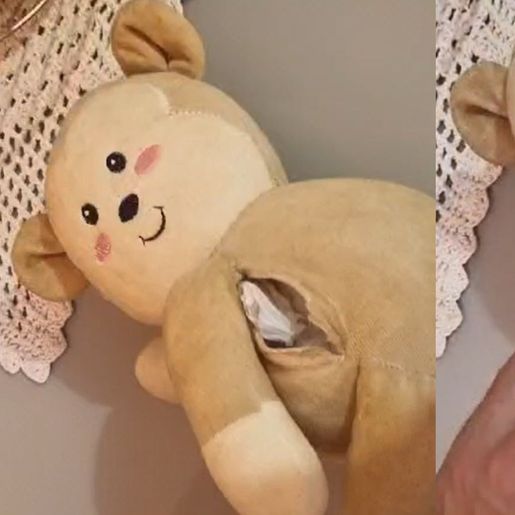 Mulher é presa com cocaína dentro de urso de pelúcia em Chapecó