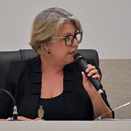 Projeto cria o Dia Municipal do Rock em São Miguel do Oeste