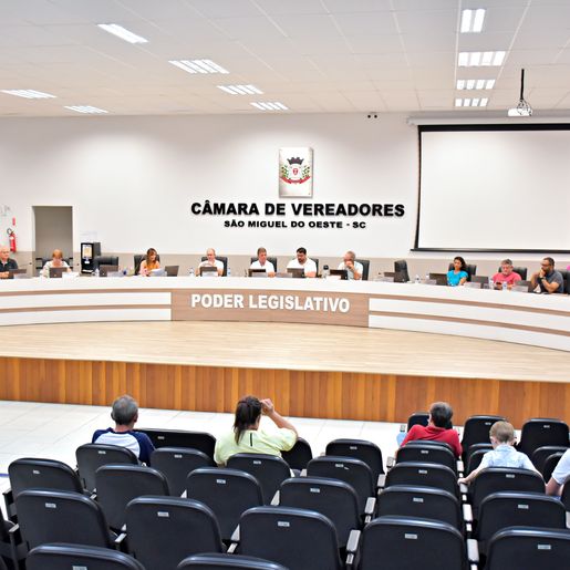 Vereadores aprovam projeto que institui Programa de Recuperação Fiscal