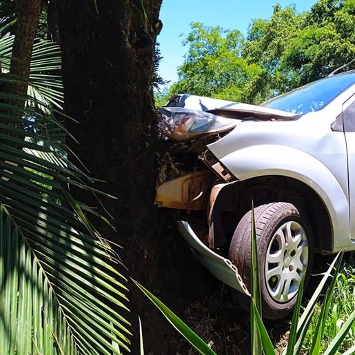 Motorista perde controle da direção e carro se choca contra árvore na SC 163