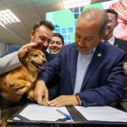SC quer castrar 90 mil cães e gatos até 2026 com programa de R$ 18 milhões