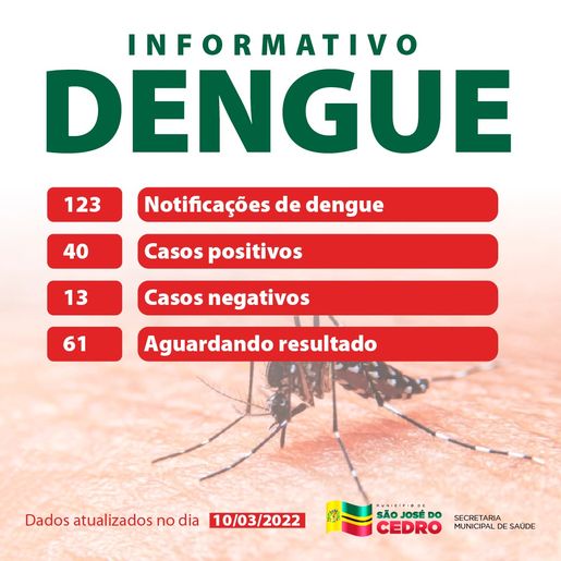 Aumento de casos de dengue deixa setor de Endemias em alerta