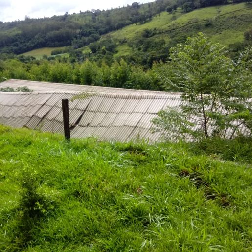 Deslizamento causa prejuízos e soterra animais em São Miguel do Oeste