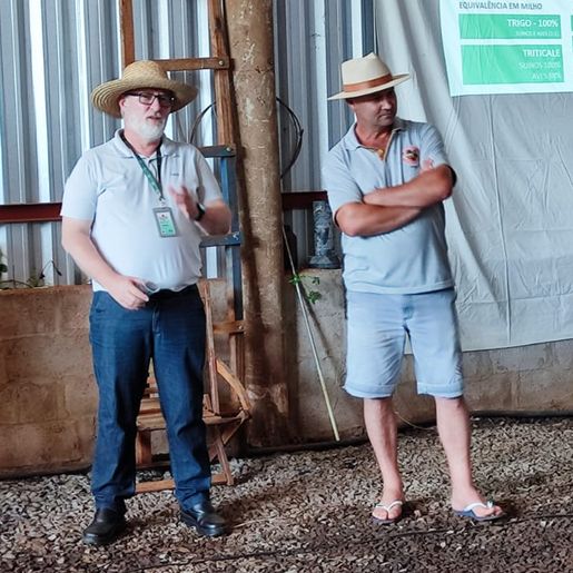 Epagri realiza Dia de Campo para apresentação da cultura de inverno