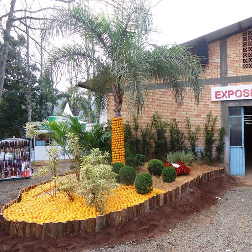 Agricultura de Mondaí intensifica preparativos para a 18ª Festa da Fruta