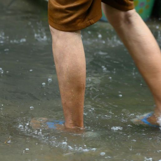 SC tem salto no número de mortes por leptospirose em 2023