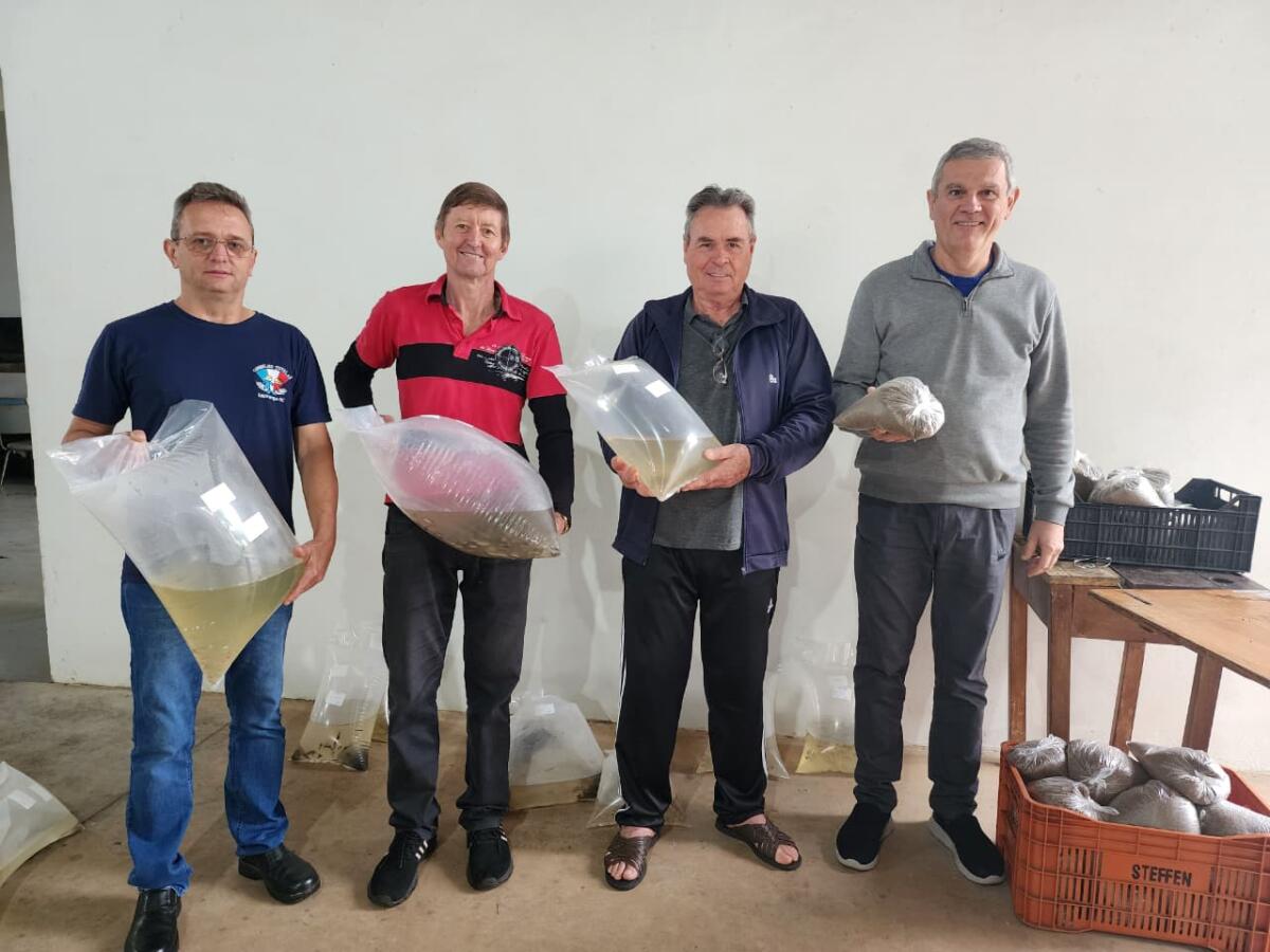 Aquita distribui 17 mil alevinos para produtores de Itapiranga