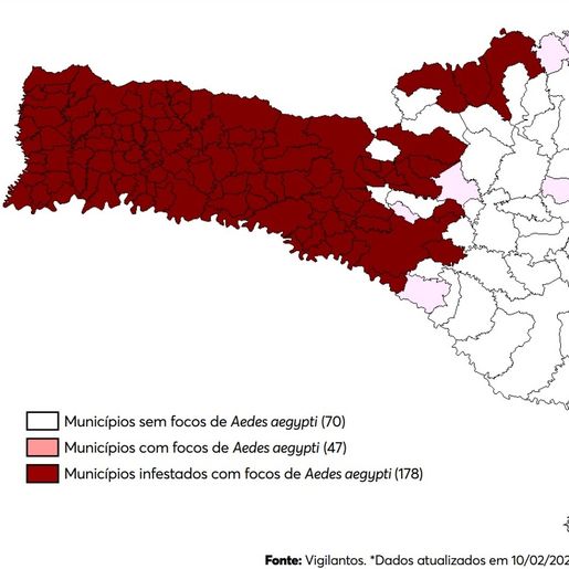 Oeste tem infestação de mosquito da dengue, aponta informe da Dive