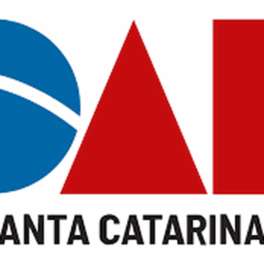 OAB deve atuar por menina impedida de fazer aborto após estupro em SC