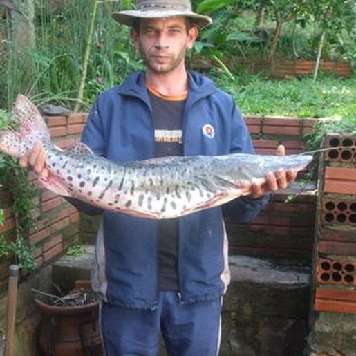 ATUALIZADO: Identificado homem que se afogou no Rio Uruguai