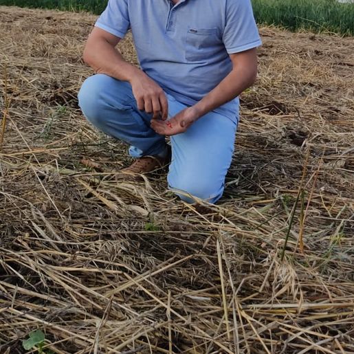 Conectando ao Agro fala sobre a análise do solo; ouça a entrevista