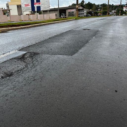 Vereadores pedem investigação do MPF sobre obras na Willy Barth