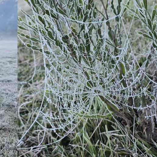 Com frio congelante de -3,17°C, região mais fria de SC tem a menor temperatura do ano