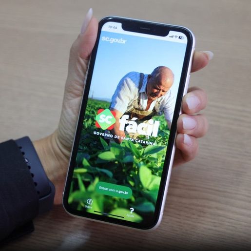 SC Fácil reúne 530 serviços do Estado em um mês de funcionamento