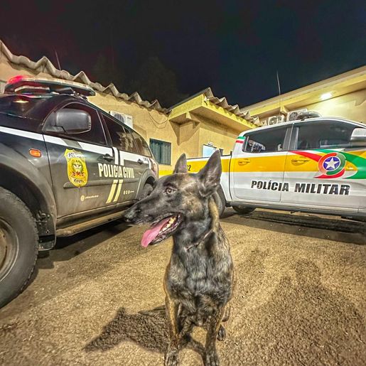 Foragido do Rio Grande Do Sul é capturado em São Lourenço Do Oeste