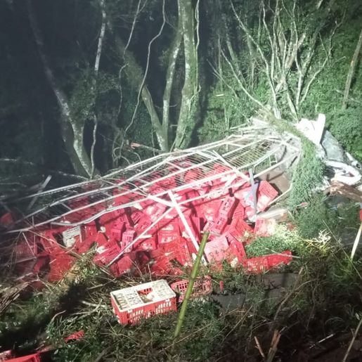Caminhão carregado com aves sai da pista e cai em barranco na BR 282