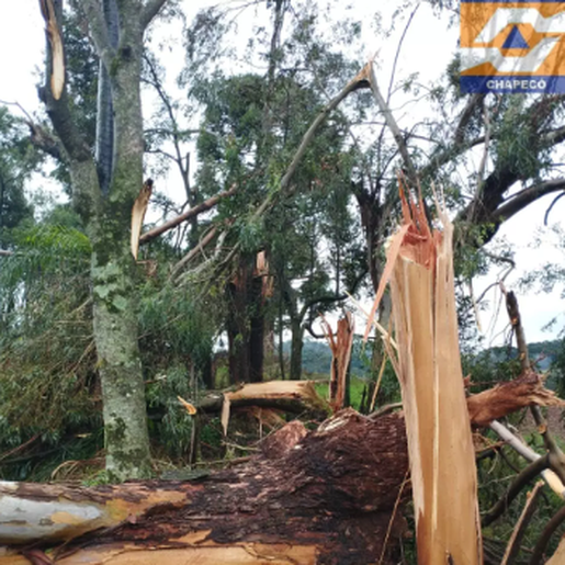Chapecó é atingida por vendaval neste sábado; meteorologista identifica tornado