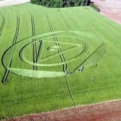 Santa Catarina já registrou ao menos 10 agroglifos nos últimos anos