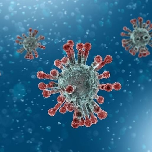 Governo de Santa Catarina confirma 57 casos de Coronavírus