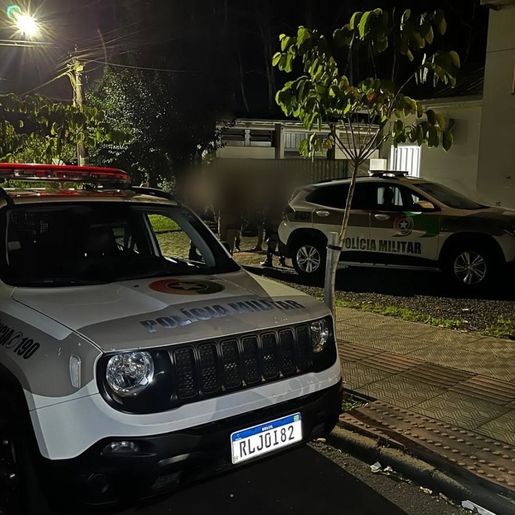 Homem vai preso após tentar furtar cachorro de ONG e ameaçar mulher em SMO