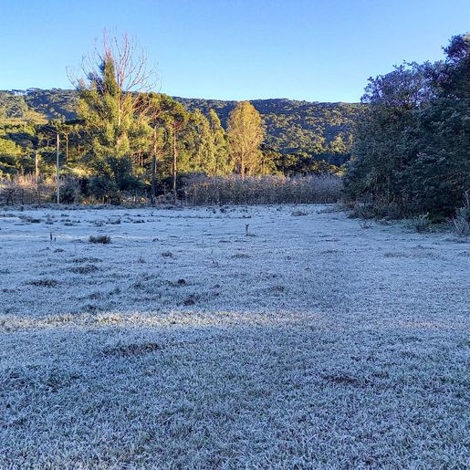 Serra catarinense amanhece com paisagens “congeladas” e temperatura negativa