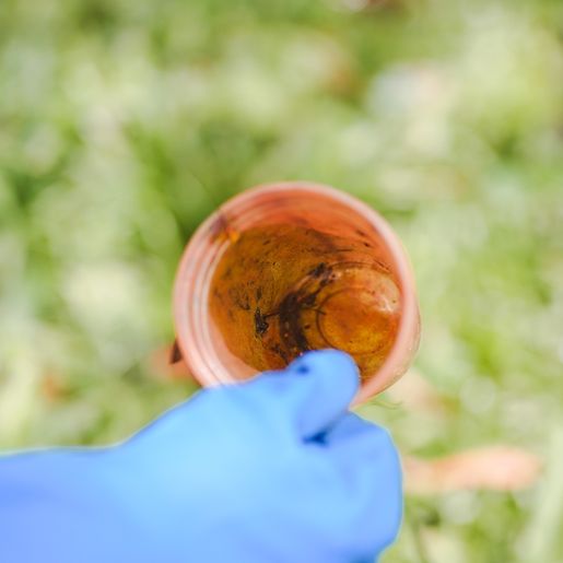 São Lourenço do Oeste tem cinco pessoas hospitalizadas por dengue