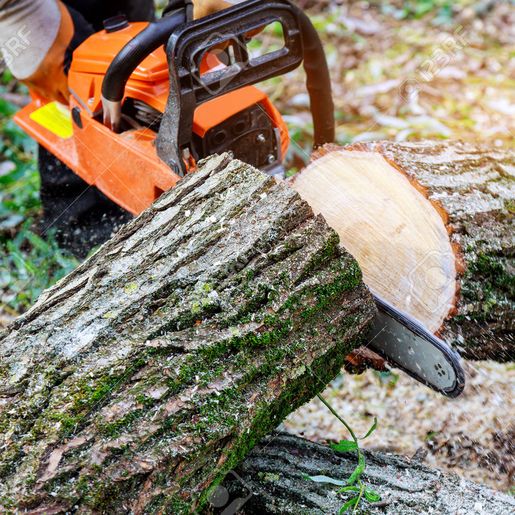 Instrutor do Senar orienta sobre regularização de motosserras