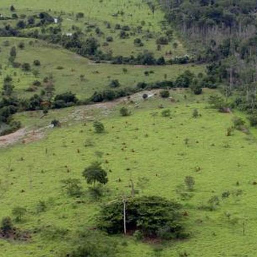 Prazo para declaração do ITR inicia em agosto para agricultores