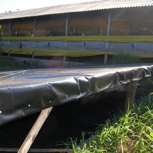 Homem morre após cair em esterqueira no interior de Descanso