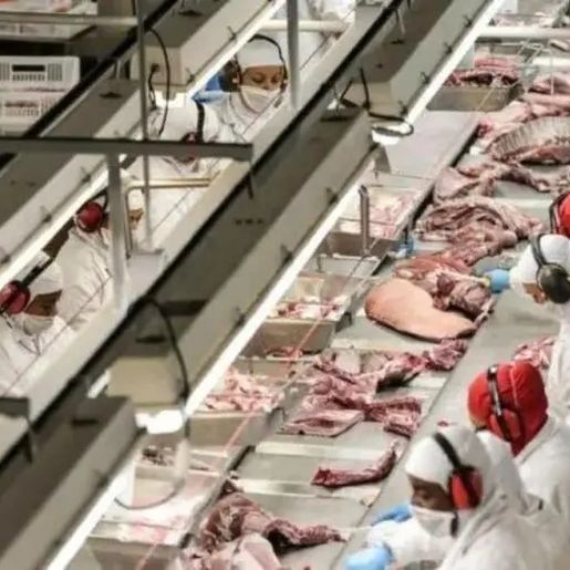 Com exportação para o Canadá, setor de carne suína de SC espera minimizar crise