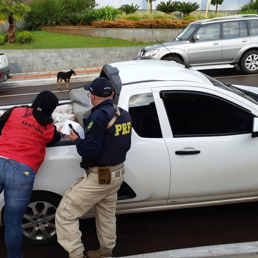 PRF apreende 600 kg de carne transportada sem refrigeração e sem condições de consumo