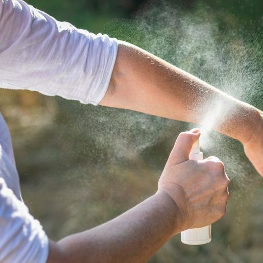 Com mais da metade de SC infestada, fiscalização cobra medidas para combate à dengue