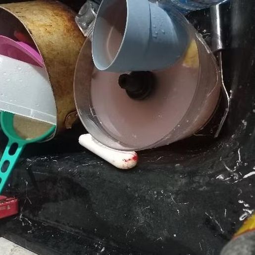 Criança de 1 ano é esfaqueada durante briga entre irmãs, e tia é presa em SC